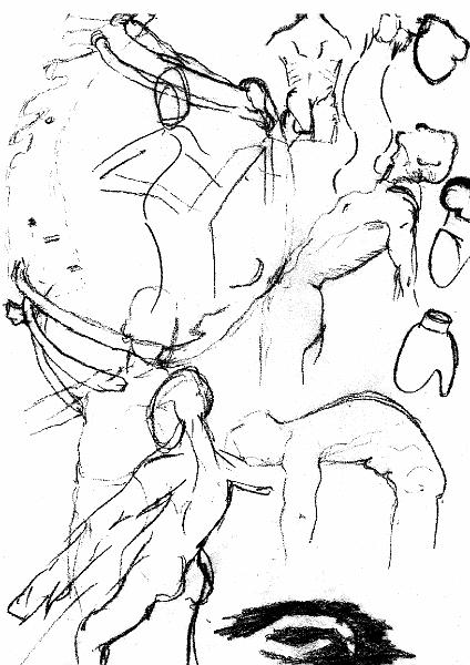 b_w_anatomy.bmp