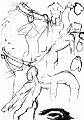 b_w_anatomy